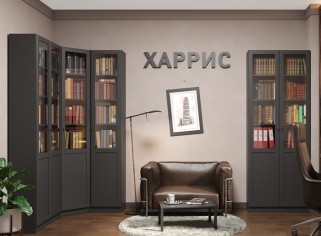 «Харрис» Библиотека (Антрацит) «Харрис» Библиотека (Антрацит)