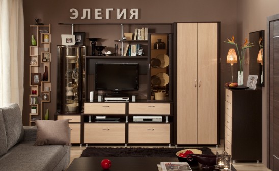 Модульная мебель для гостиной «Элегия»