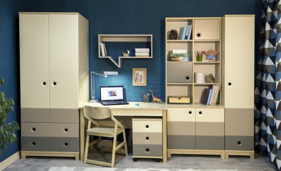 Подростковая детская мебель «Робин Wood»