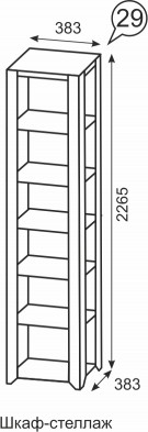 Шкаф-стеллаж м.29 «Твист»