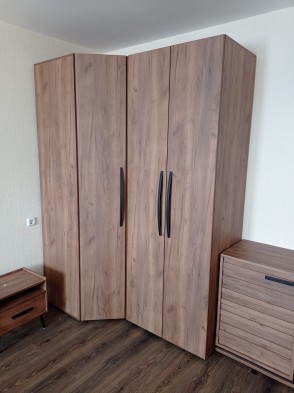 «Nature» Шкаф для одежды 54 Фасад Стандарт + Стандарт Дуб табачный Craft «Nature» Шкаф для одежды 54 Фасад Стандарт + Стандарт Дуб табачный Craft