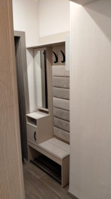 «Ольга-Сатин» модульная мебель для прихожей