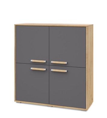 «Флорида» Тумба-комод Ф43