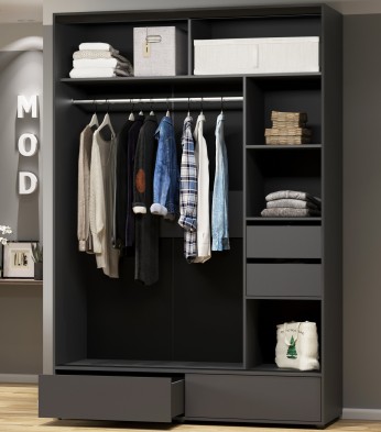 Шкаф-купе MOD 1600 без зеркала Шкаф-купе MOD 1600 без зеркала